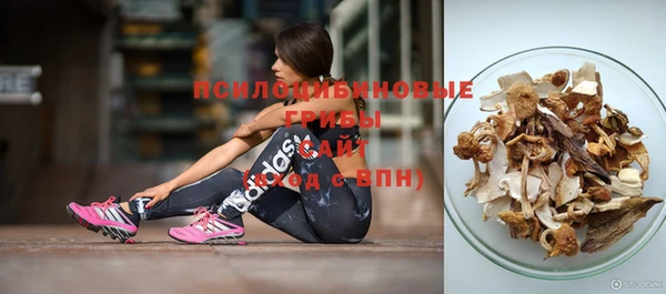 прущие крисы Алзамай