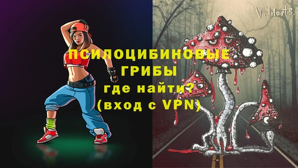 spice Медногорск