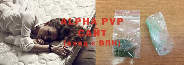 стафф Алексин