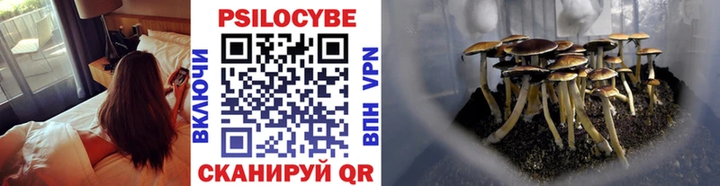 Галлюциногенные грибы мицелий  Орехово-Зуево 